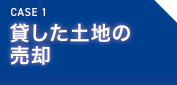 CASE1/݂yn̔p